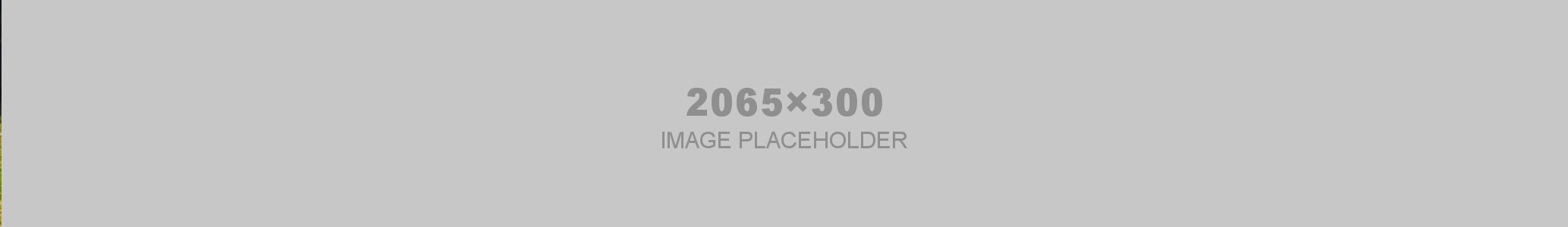 Header image placeholder